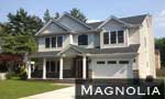 Magnolia